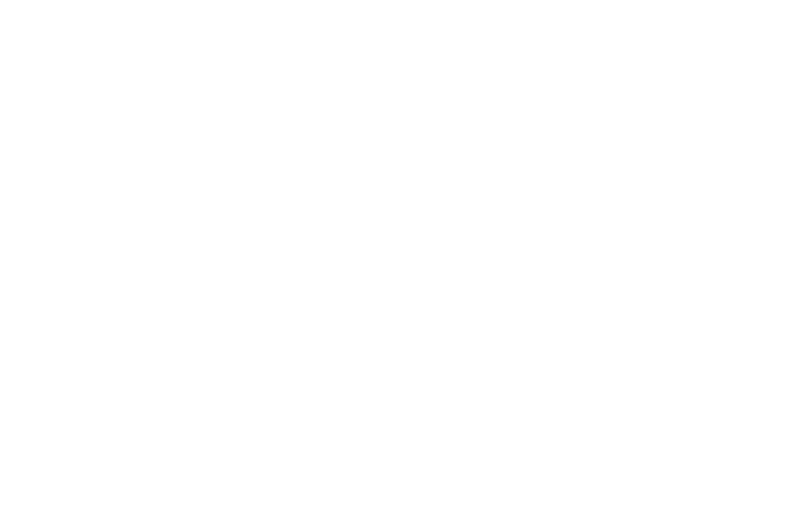 Logo BIOTRANSPORTS