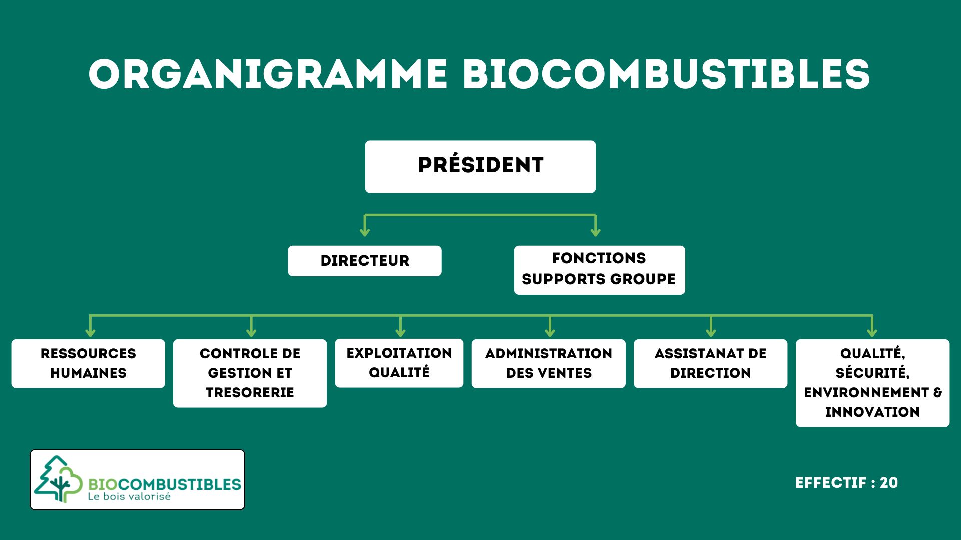 Organigramme Biocombustibles