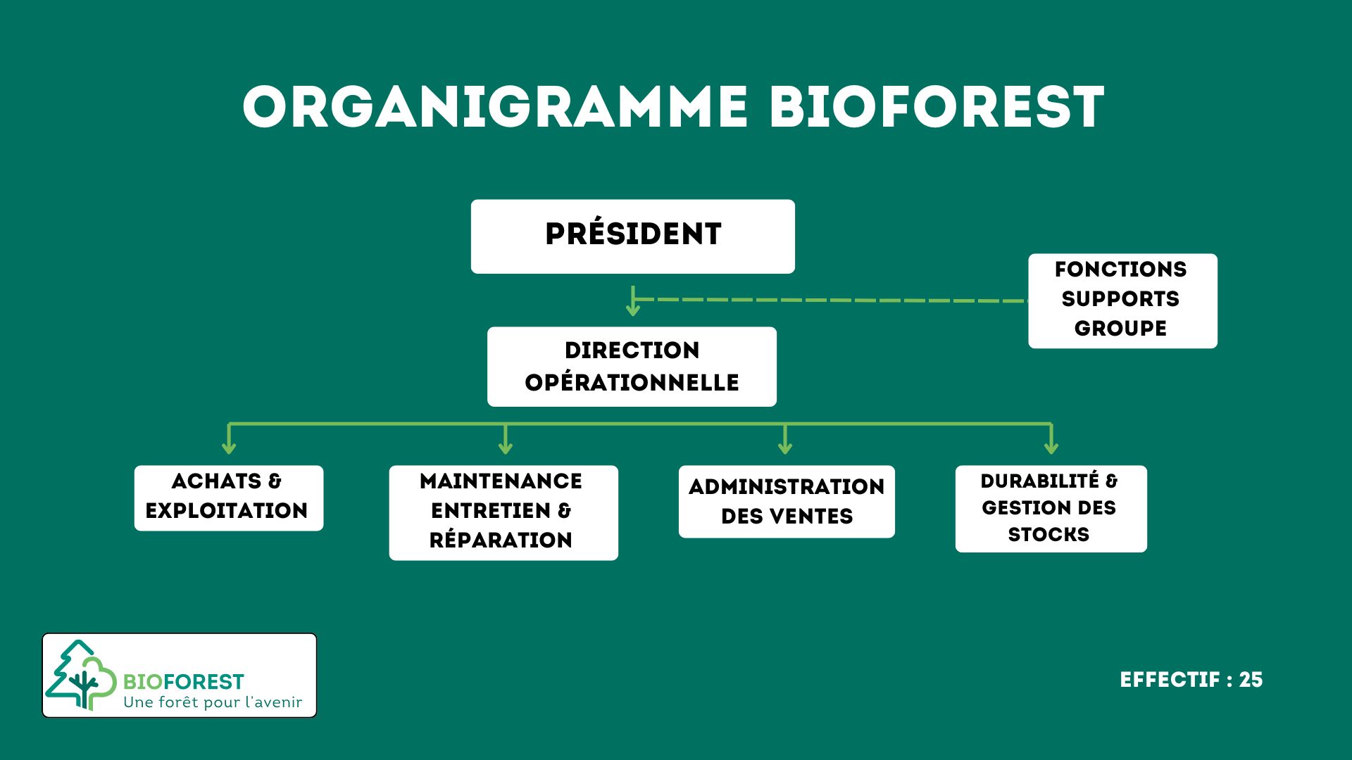 Organigramme BIOFOREST