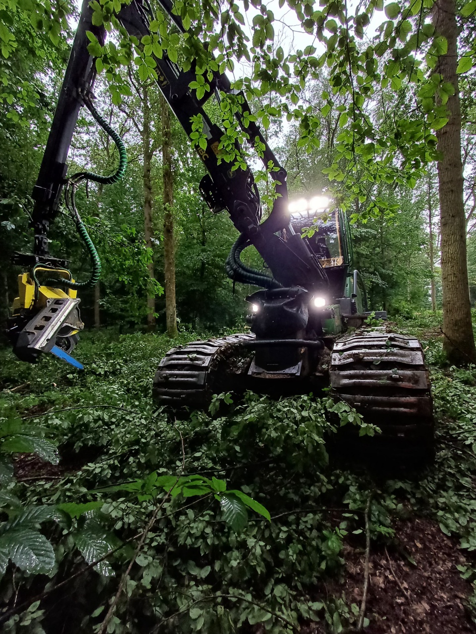 Abatteuse forestière BIOFOREST